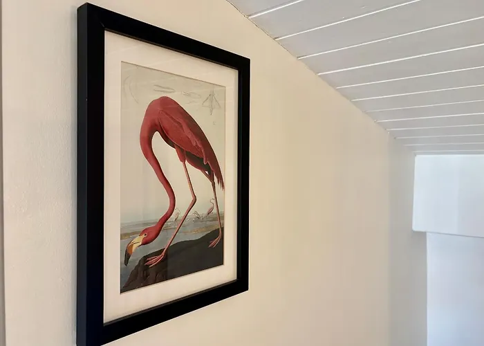 阿基坦大区伊斯盖尔酒店 波尔多