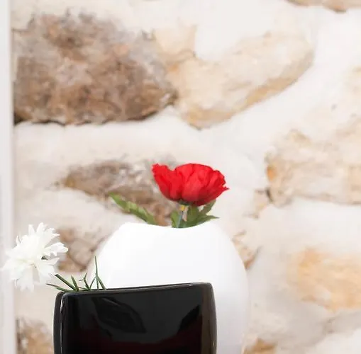 Appartamento L'escale D'aquitaine *